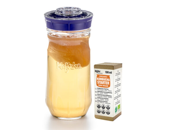 Kefirko Kefirko Arancione Crea le tue bevande probiotiche a casa per una buona salute intestinale e costruisci la tua immunità Kit di base acquosa completo KEFIR da 848 ml con grani organici 