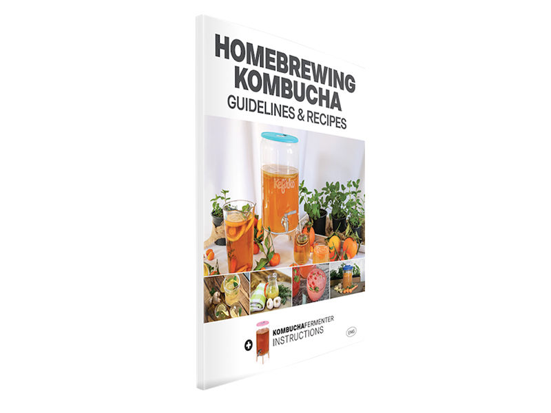 Fermentare il Kombucha in casa: linee guida e ricette - Kefirko