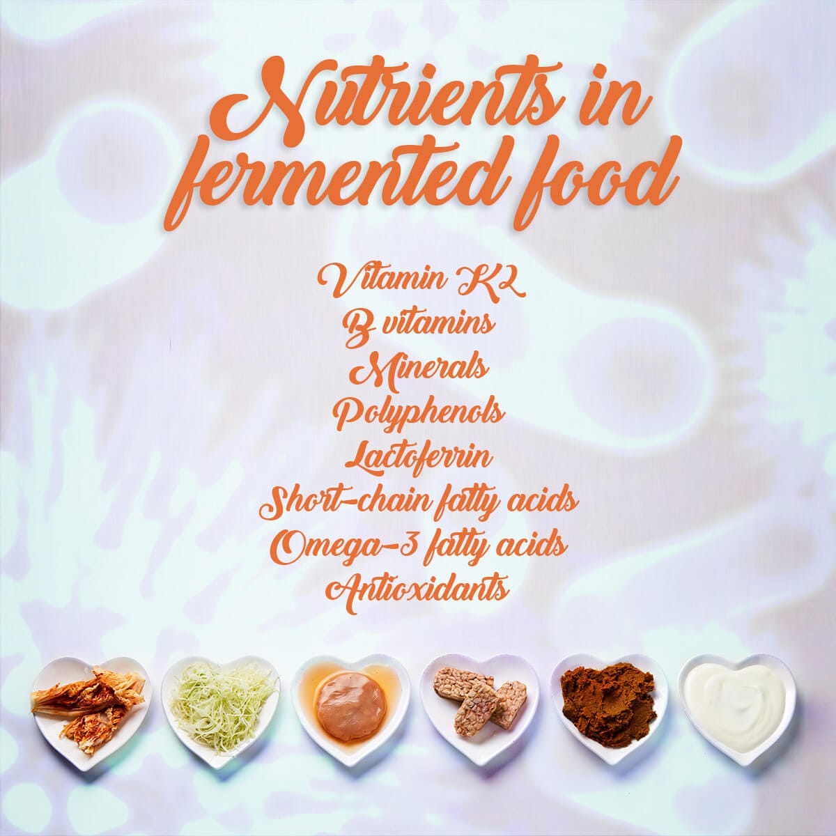 Nutrienti presenti negli alimenti fermentati